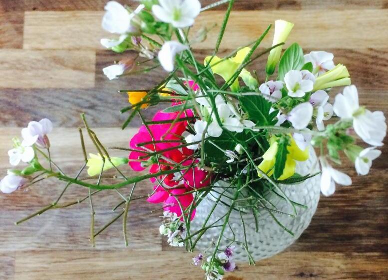 호텔 Terre Di Senia