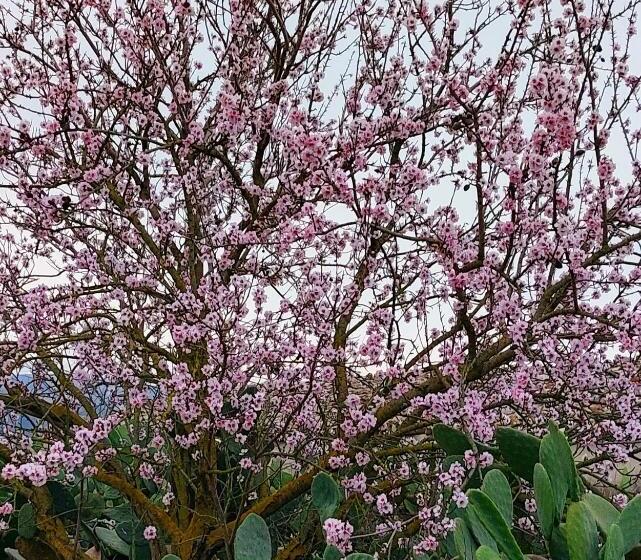 호텔 Terre Di Senia