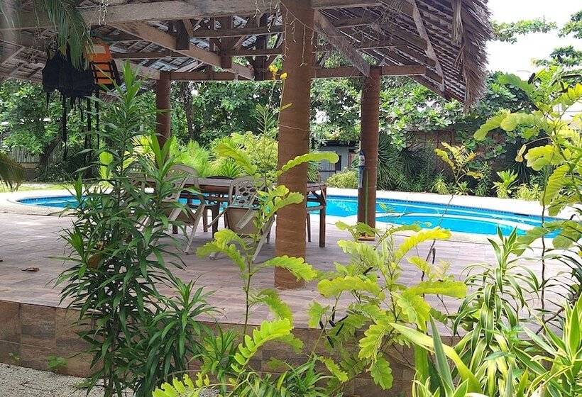 هتل The Sharks Tail Dive Resort