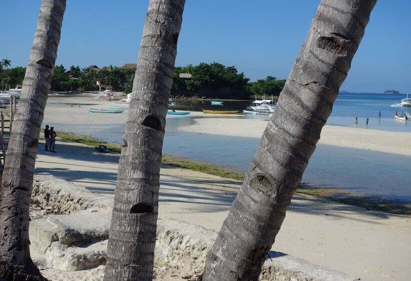 هتل The Sharks Tail Dive Resort