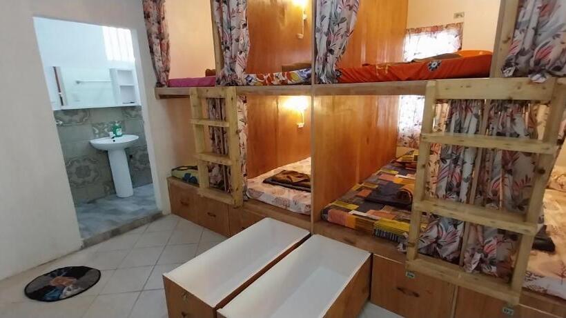 هتل The Sharks Tail Dive Resort