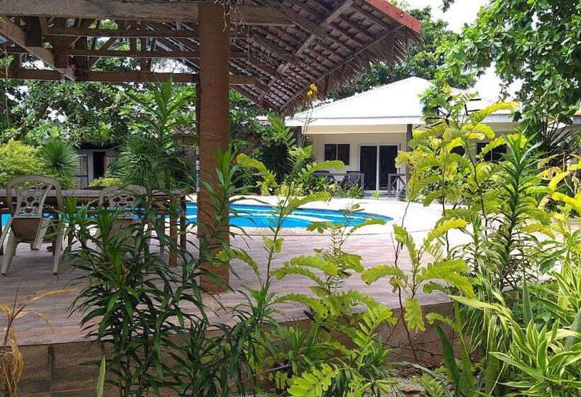 هتل The Sharks Tail Dive Resort