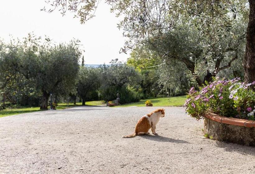 La Tana Delle Stelle B&b Di Charme E Relax