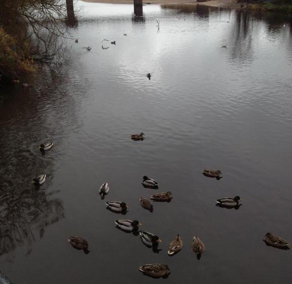 Maghernahar House B&b