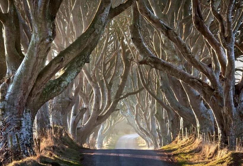 Maghernahar House B&b