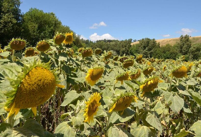 Peaceful Cottage In Pergola With Private Terrace