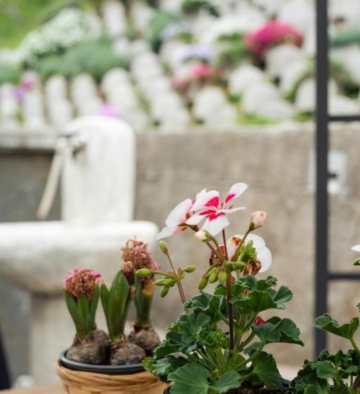 پانسیون Apartment Kanalec