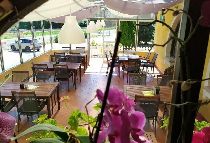 פנסיון Arcadia Guesthouse