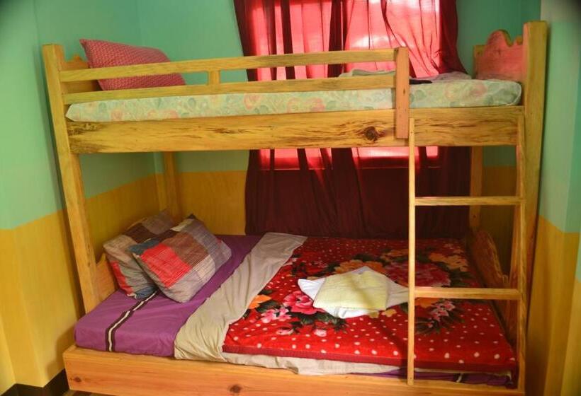 펜션 Banaue Greenfields Inn