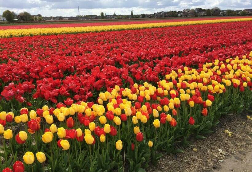 פנסיון Beachroom