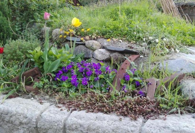 פנסיון Cà Di Gatti Guesthouse