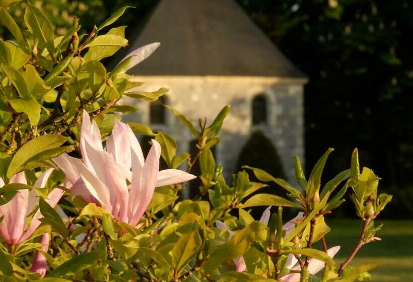 بنسيون Château La Mothaye Self Catering Apartments With Pool In The Loire Valley