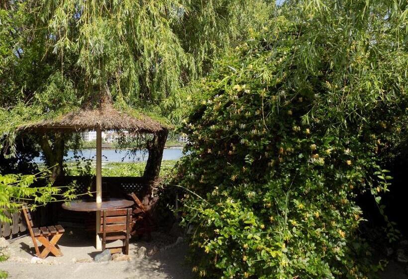 بنسيون Complex Amazon