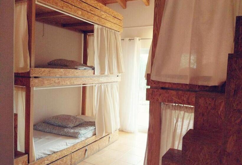 פנסיון Endless Summer Surf House