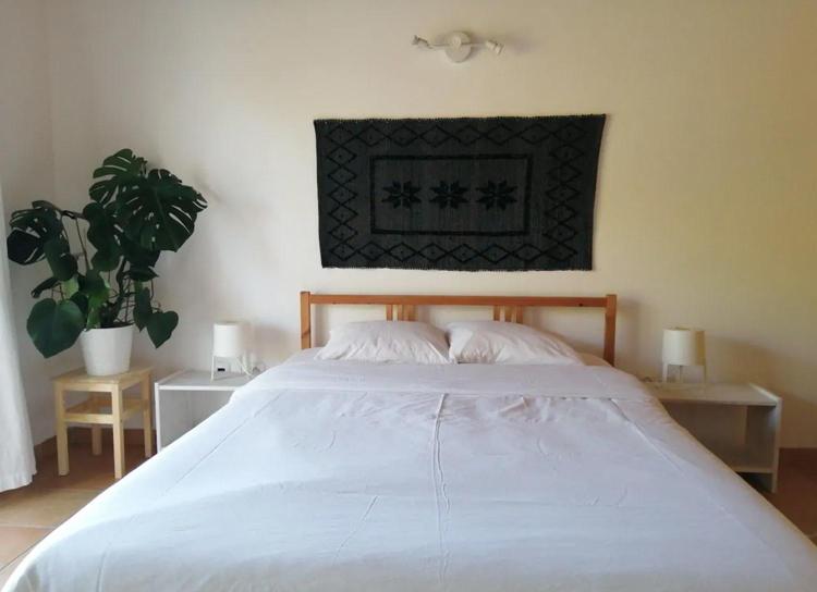 פנסיון Endless Summer Surf House