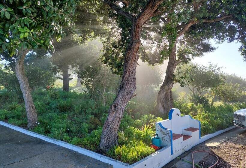 بنسيون Herdade Amália Rodrigues