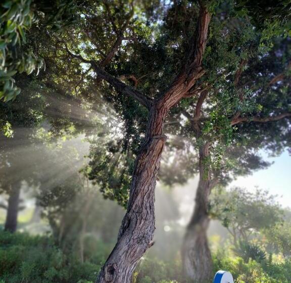 ペンション Herdade Amália Rodrigues