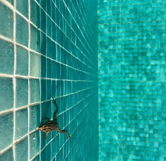 بنسيون Herdade Amália Rodrigues