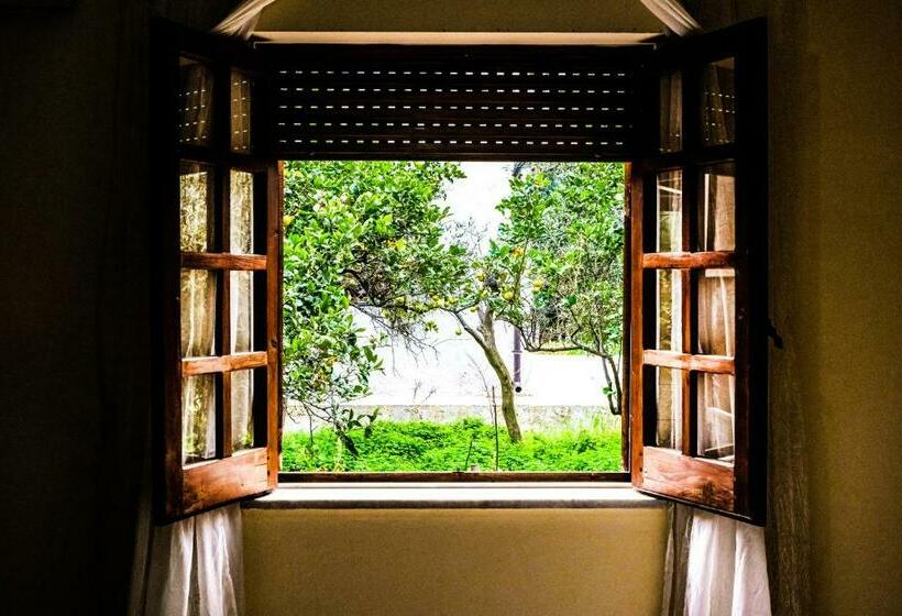 ペンション Il Fenicottero Guest House