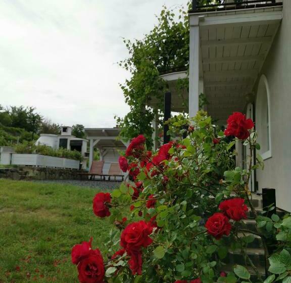 פנסיון Villa Izabella