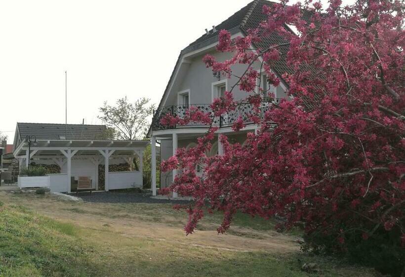 פנסיון Villa Izabella