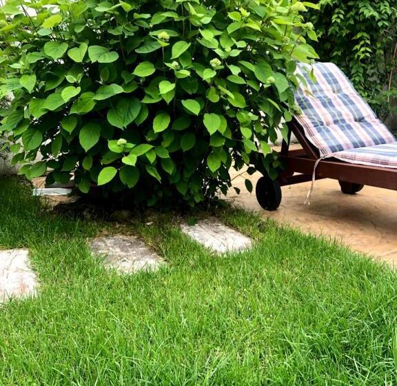 Пансион Red House Family