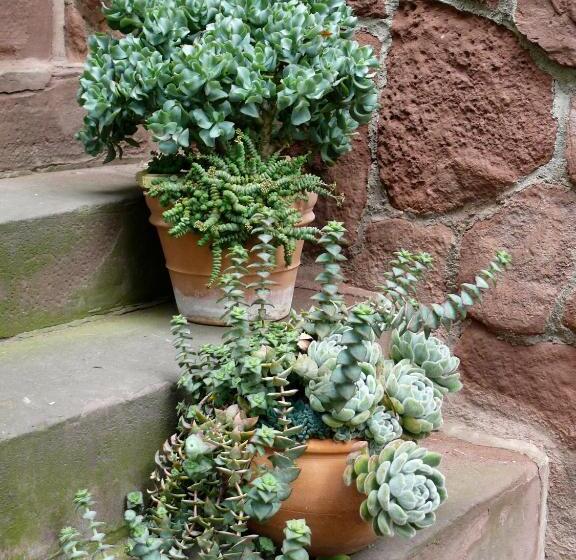 פנסיון Villa Am Park