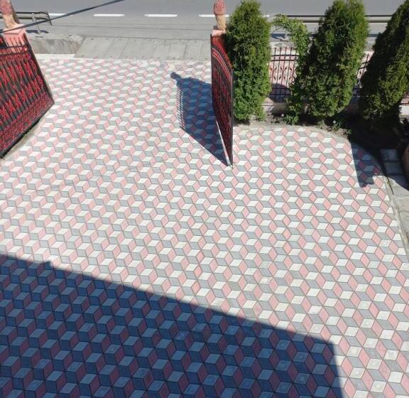 Pensiunea Floare De Bucovina