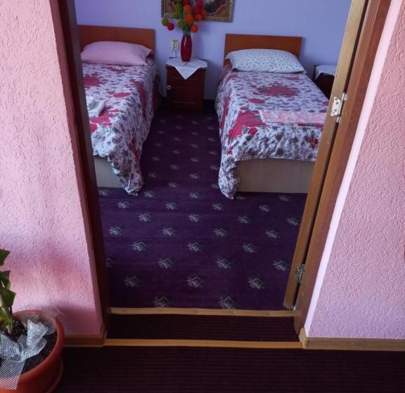 Pensiunea Floare De Bucovina