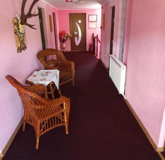 Pensiunea Floare De Bucovina