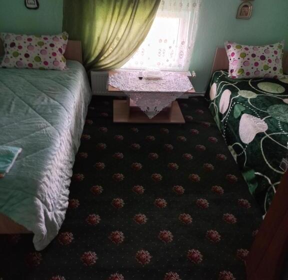 Pensiunea Floare De Bucovina