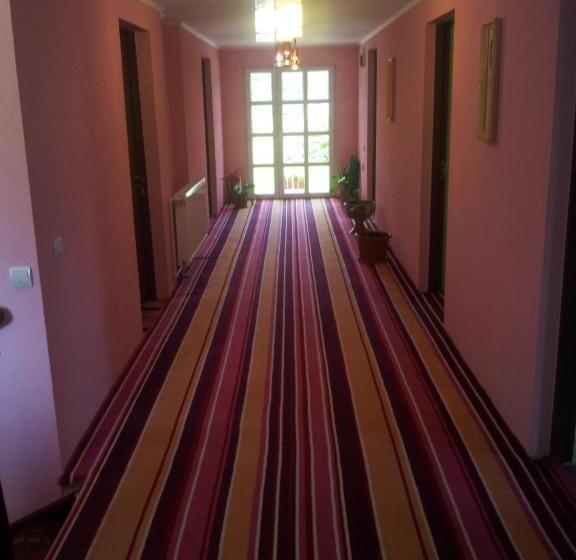 Pensiunea Floare De Bucovina