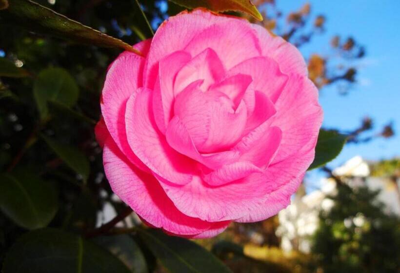 Residenza Paradiso Di Vacanze