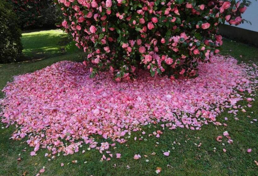 Residenza Paradiso Di Vacanze