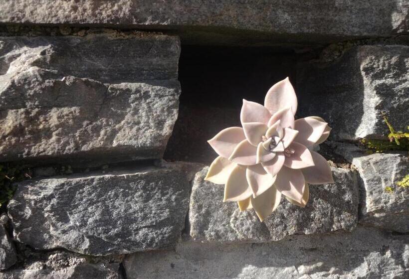 Residenza Paradiso Di Vacanze