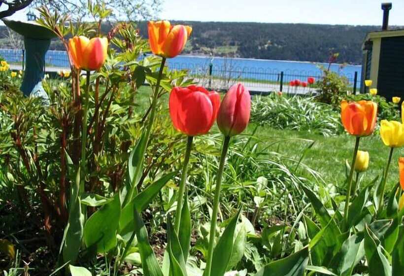 Rothesay House Heritage Inn B&b