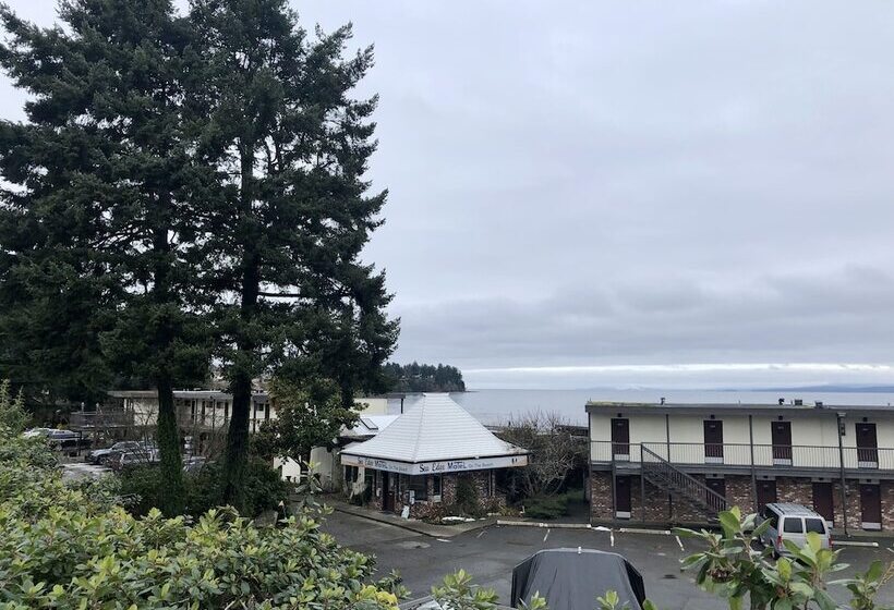 Sea Edge Motel