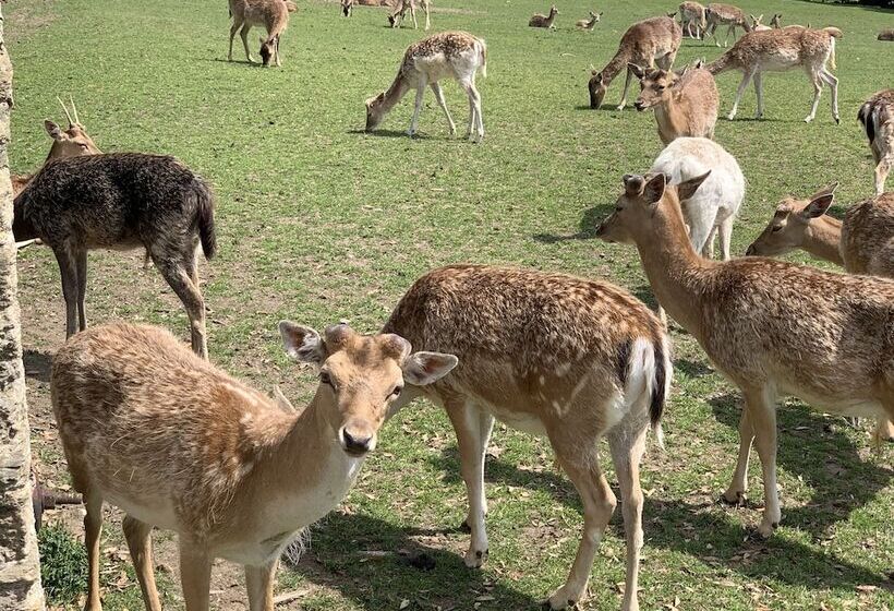 The Padstow Cottage   Coswarth House