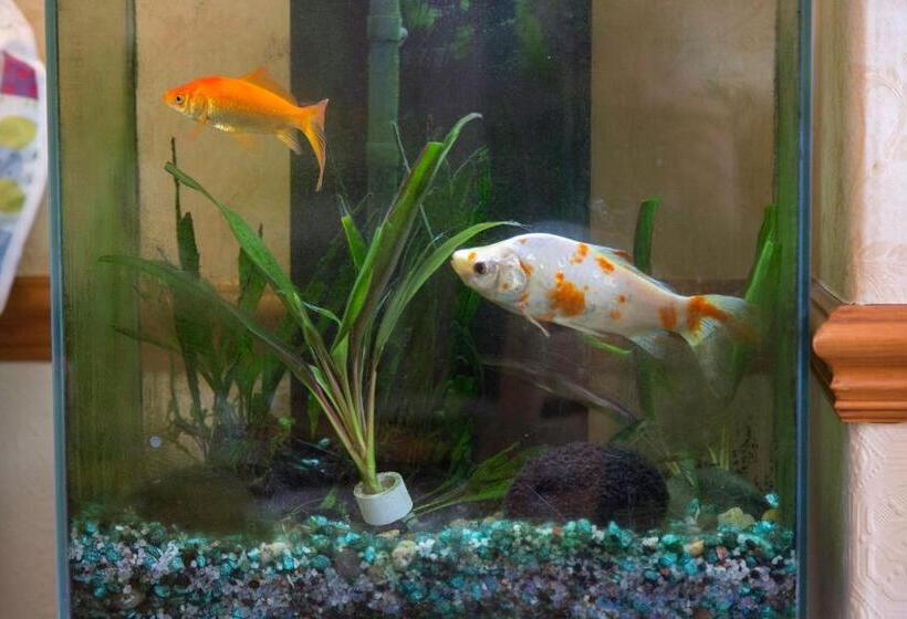 צימר Laurel Bank Guest House