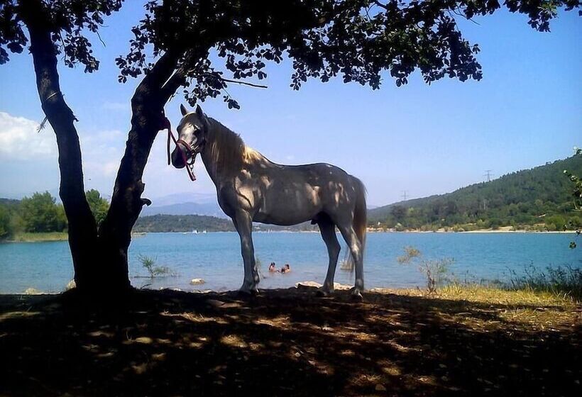 צימר Les Gites Du Lac   Chambre D Hotes