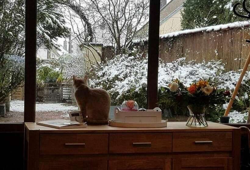 住宿加早餐  Les Insolites De La Pouillyzotte