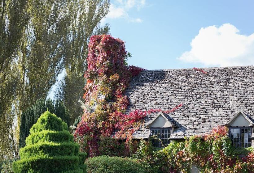 فندق فئة نجمة واحدة Old Swan