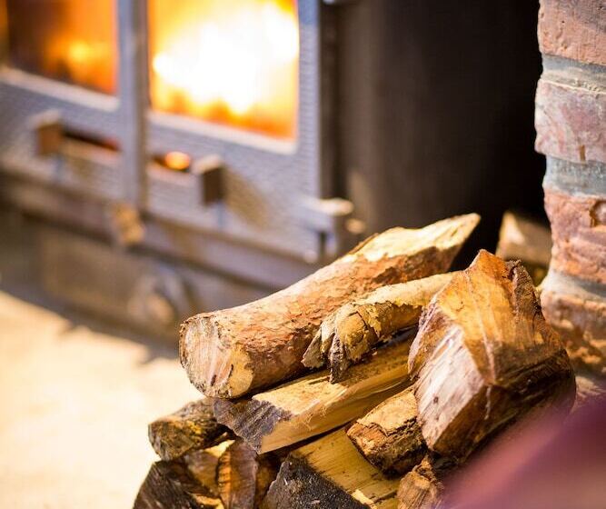 فندق فئة نجمة واحدة Old Swan