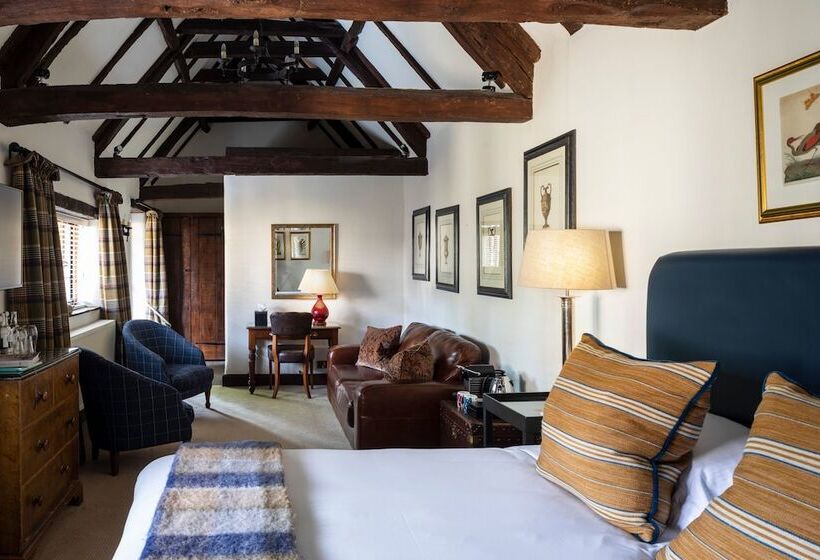 فندق فئة نجمة واحدة Old Swan