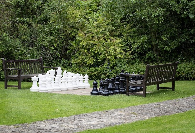 فندق فئة نجمة واحدة Old Swan