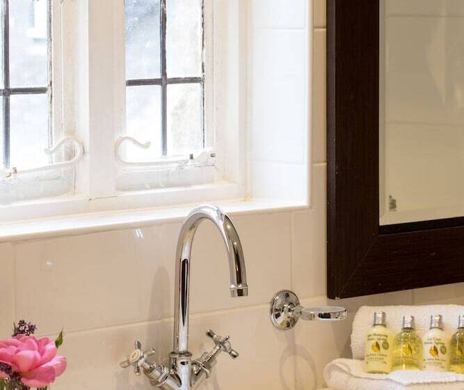 فندق فئة نجمة واحدة Old Swan