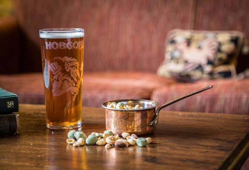 فندق فئة نجمة واحدة Old Swan