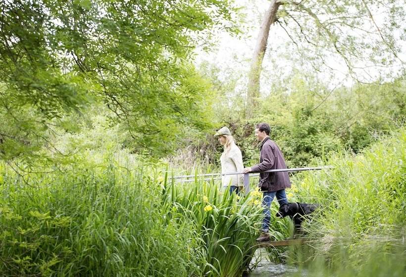 فندق فئة نجمة واحدة Old Swan