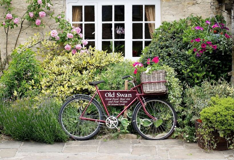 فندق فئة نجمة واحدة Old Swan