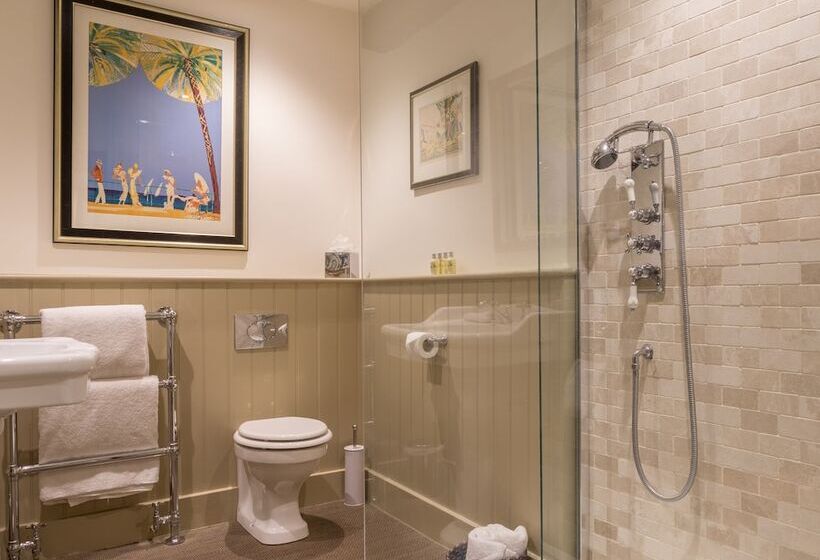 فندق فئة نجمة واحدة Old Swan